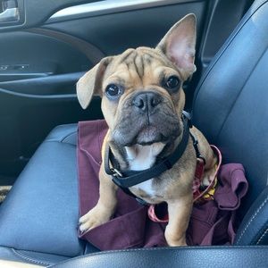 Meet your Posher, Bethany